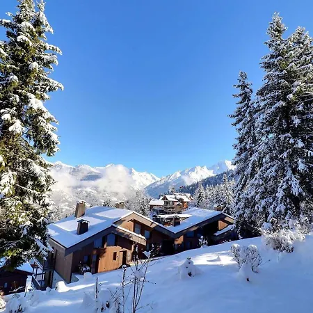 Lägenhet 2 Pieces Confortables, Skis Aux Pieds, 4 Personnes - Fr-1-182a-12 *